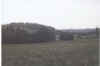 farmnow.jpg (16421 bytes)