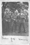 pow0006.JPG (104663 bytes)